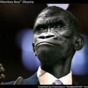 Meet your Posher, Xavier